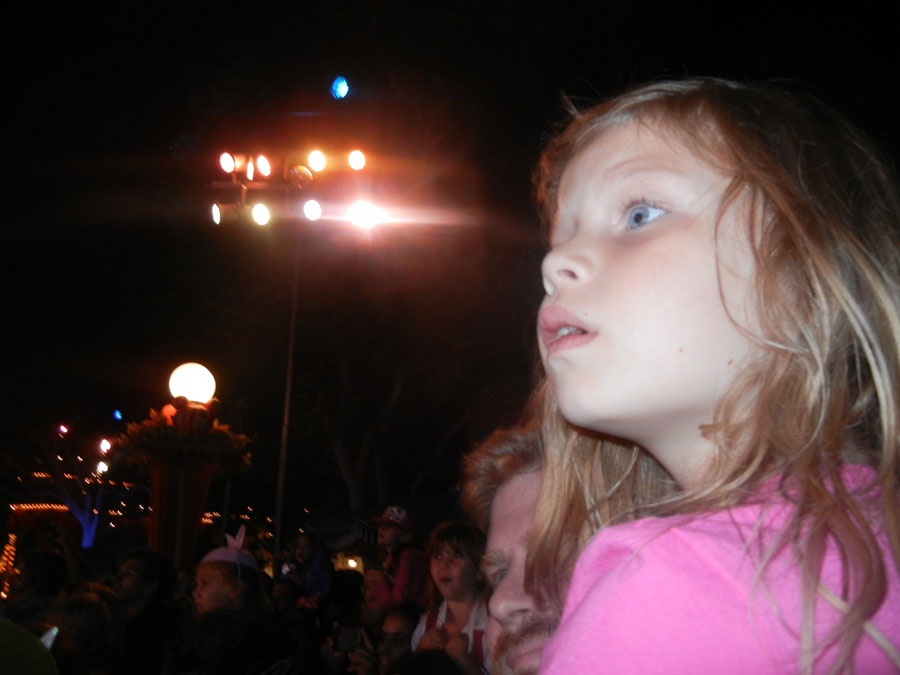 Disneyland Parade at Night Picture